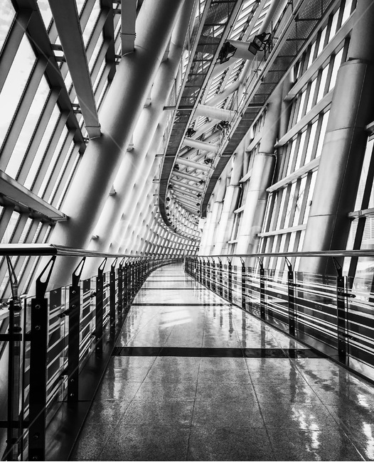 다리,규칙,패턴,흑백,구조물,구조,bridge,rule,pattern,blackandwhite,structure,black,dark,흑백,모노톤,monochrome,black and white,건축물,건물외관,exterior,building,structure,architecture,construction