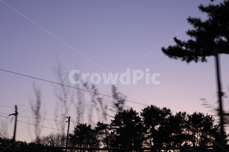 하늘,풍경,여행,나무,추억,기록,바람,겨울,자연,풍경,nature,landscape,tree,plant,식물