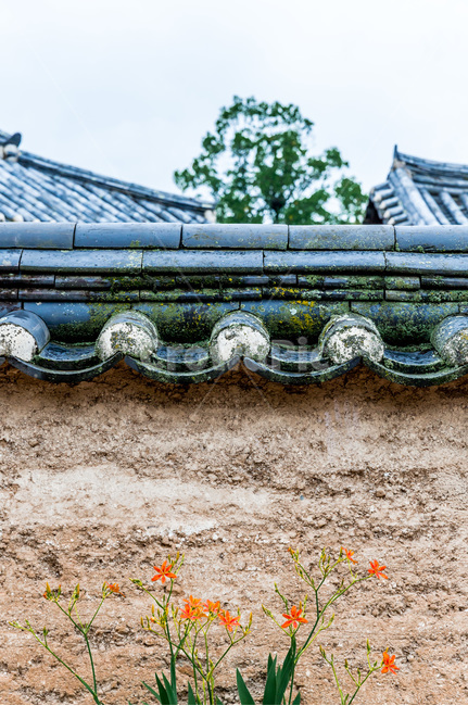 기와,흙담,담벼락,전통,선,고택,한국전통,한국문화,korean traditional,korean culture,건축물,건물외관,exterior,building,structure,architecture,construction