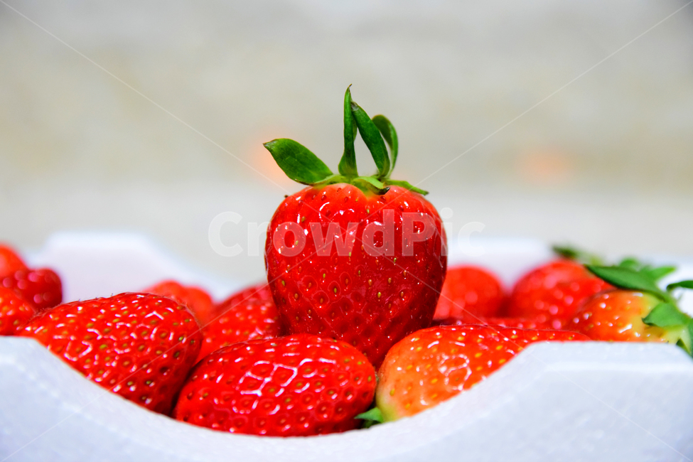 딸기,후식,음식,과일,식재료,열매,빨강색,dessert,fruits,strawberry,음식,식재료,요리,food,cook,meal,dishes,food reserves,과일,열매,fruit,채소,야채,vegetables