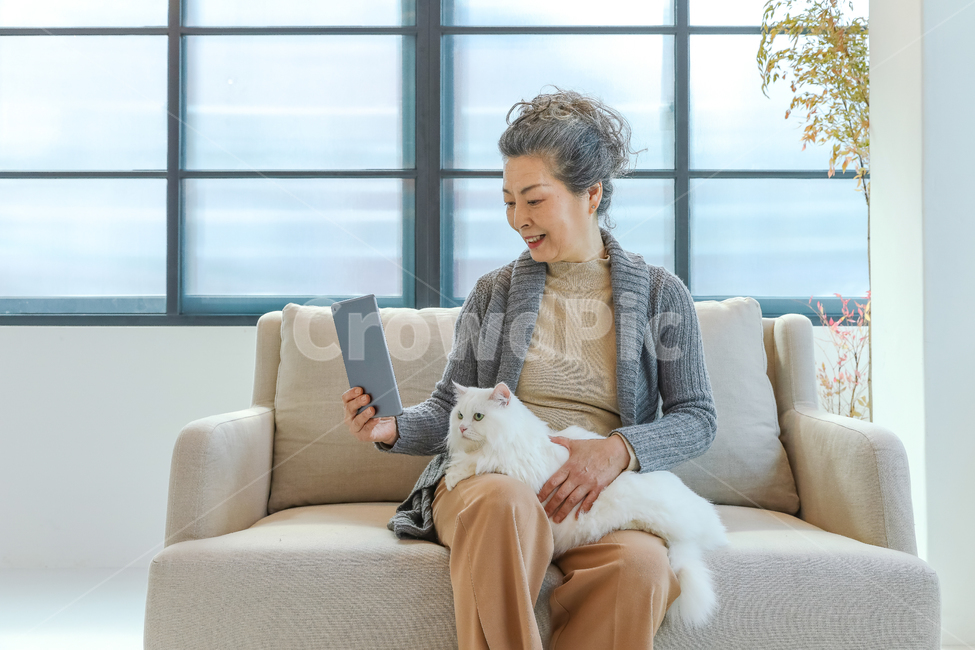 고양이,노인,여성,일상,반려동물,은퇴,여가,여유,행복,미소,만족,즐거움,생활,인테리어,실내,소파,의자,창문,하얀고양이,무릎냥,나이든여성,흰색,회색,붉은색,베이지색,따뜻함,포근함,할머니,60대여성,70대여성,흰머리,사랑,신뢰,동거,반려,애완동물,동물,백발,우아한,고귀한,귀여운,안기다,앉다,마주보다,웃다,책,타블릿,읽다