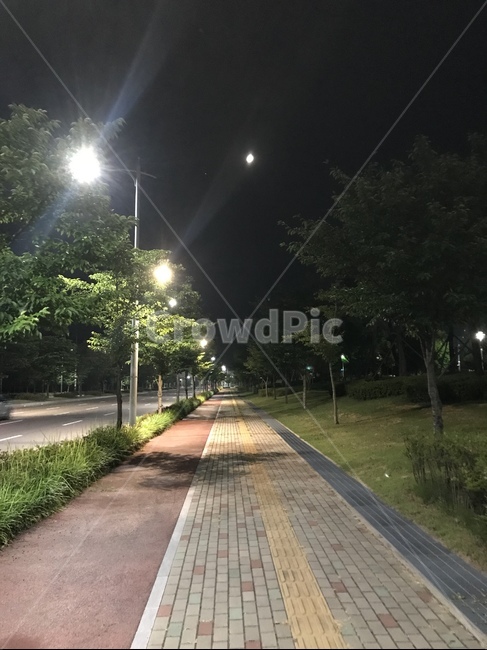 풍경,밤,하늘,가로등,저녁