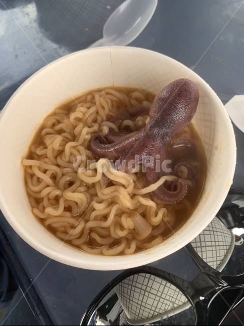 쭈꾸미,라면,낚시,제철,배위,음식,식재료,요리,food,cook,meal,dishes,food reserves