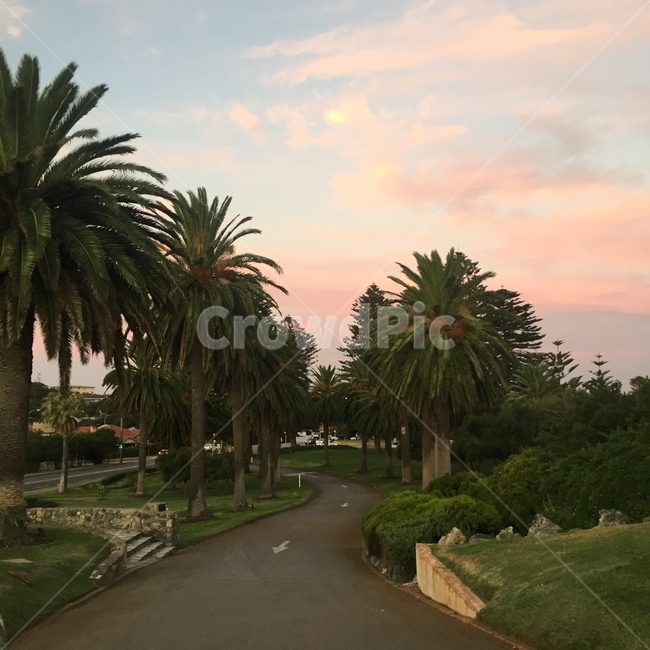 호주,퍼스,하늘,석양,노을,도시,풍경,city,landscape,outdoors,옥외,garden,정원