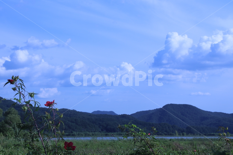 푸른,하늘,구름,풀밭,산,bluesky