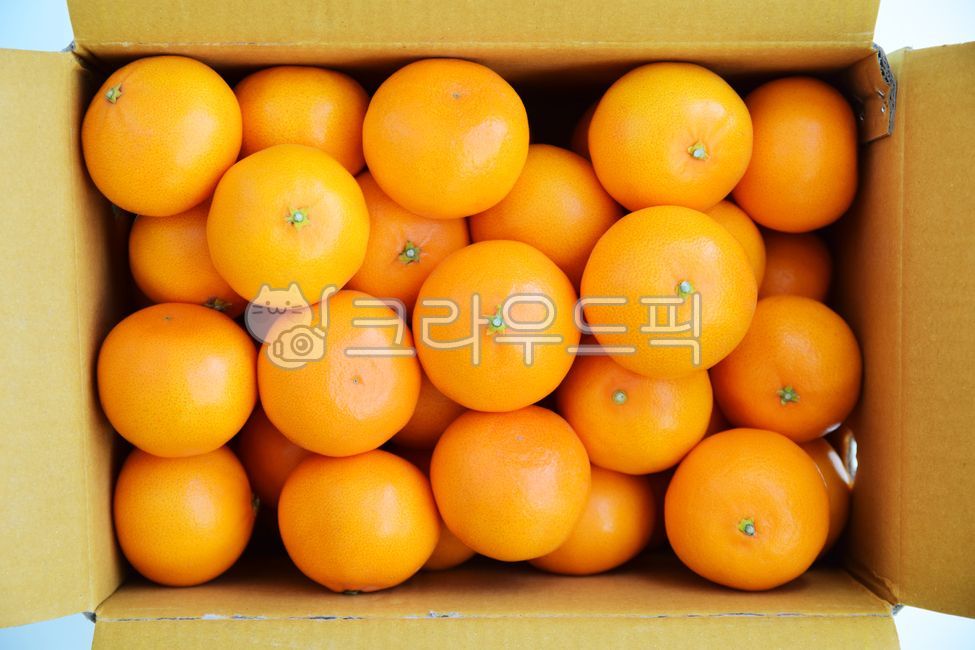 winter snack,fragrant,winter fruit,vitamin c,packaging box,fruit,snack,Paper box,winter,box,Orange,One box,Cheonhyehyang,ingredients,citrus fruits,package,Fruit,health,vitamin,food,health food,orange,citrusfruit,nutrition,dessert,foodreserves,Cheonhyehyan