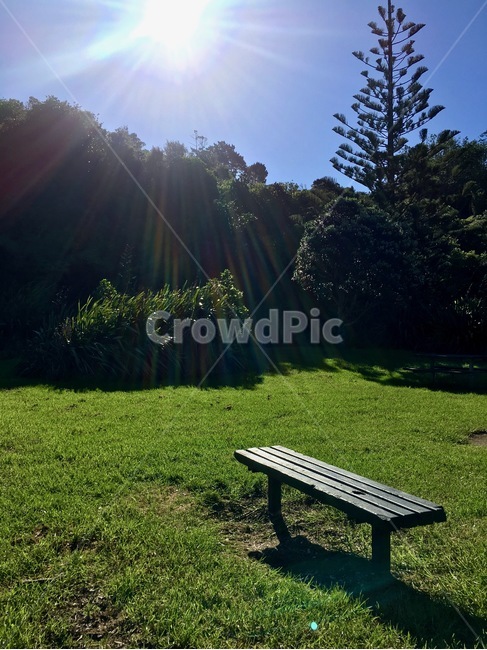 뉴질랜드,오클랜드,벤치,휴식,공원,자연,여행,자연,풍경,nature,landscape,휴식,힐링,rest,relaxation,healing,bench