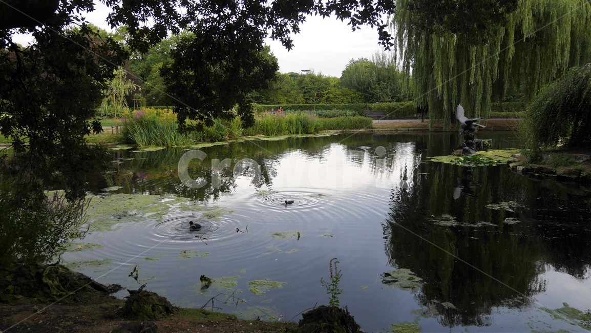 water,물,outdoors,옥외,nature,자연