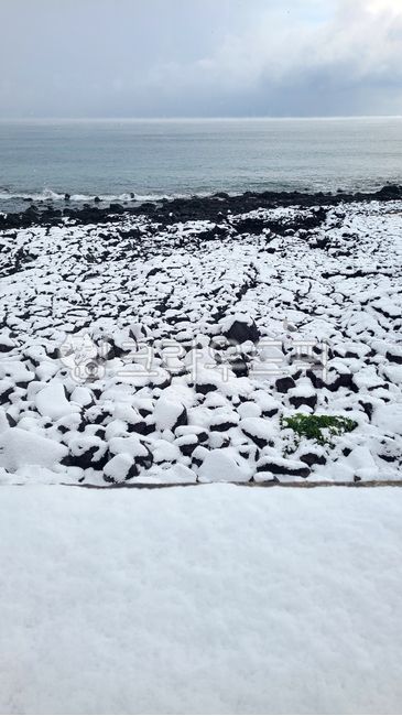 제주도,제주,바다,바닷가,jeju,jejudo,sea,ocean,겨울,겨울바다,눈,wintersea,snow