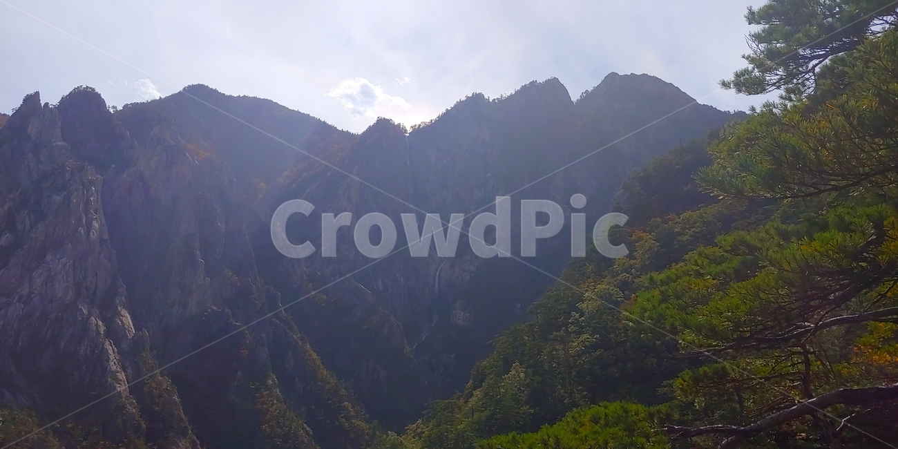 폭포,설악산,토왕성폭포,자연,산,경관,경치,나무,등산,비경,한국의산,풍경