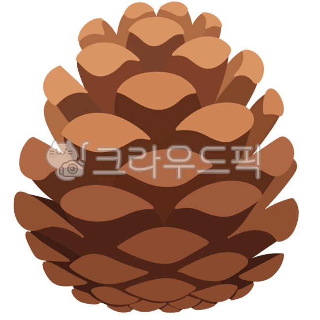 Pine tree,pine cone,autumn,autumn pine tree,autumn pine cone