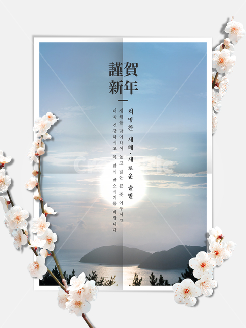 꽃,매화,하늘,달,전통,명절,신년,설날,구정,설,프레임,연하장,자연,풍경,nature,landscape,그래픽,일러스트레이션,graphic,illustration,plant,식물,flower,blossom,petal,꽃잎