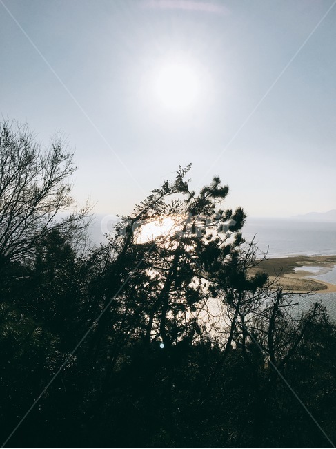 부산,오후,풍경,전망,바다,나무,자연,풍경,nature,landscape,light,빛,flare,플레어,sunlight,햇빛