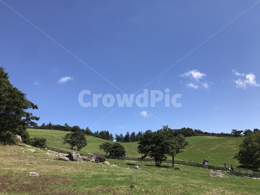 grassland,nature,목초지,자연,rural,farm,농장,field,들,초원,대자연