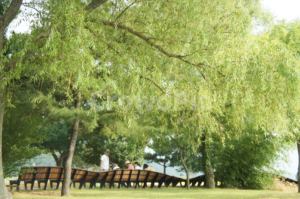순천,순천만,벤치,사람,초록,plant,식물,tree,나무