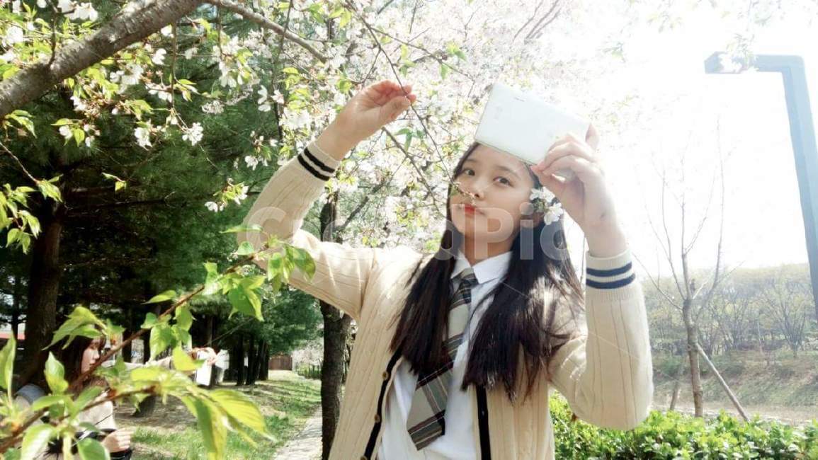 벚꽃놀이,여학생,고등학생,교복,셀카,꽃놀이,의류,여자,사람,female,girl,student,학생,수학여행,사람,인물,인간,human,person,여성,여자,woman,female,lady