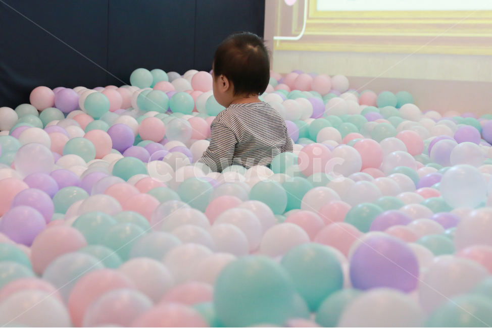 볼풀,아기,남자아이,애기,형형색색,컬러풀,고무공,공,색색의,볼풀공,플라스틱,플라스틱공,놀이기구,볼풀수영장,색깔,색상,재미있는,어린,즐거운,신나는,육아,인물,한명,녹색,보라,볼풀장,장난감,키즈카페,놀이,모델,베이비카페,연보라색,흰색,분홍색,파스텔톤,남자아기,한살,1살,귀여운,사랑스러운,작은,가족,사람,인물,인간,human,person,영유아,아기,애기,아이,infants,baby