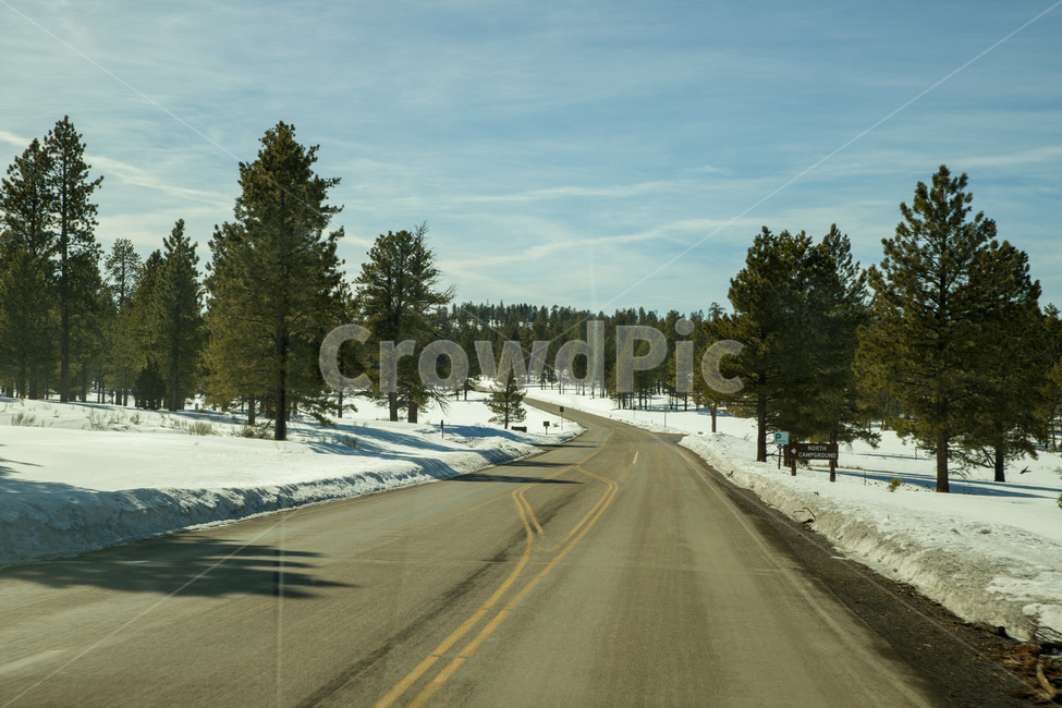 rural,natural,wood,background,beautiful,blue,cold,forest,frost,ice,landscape,light,mountain,nature,outdoor,park,scenic,season,sky,snow,sun,sunlight,sunny,tree,trees,usa,utah,view,white,winter,미국,유타,눈,겨울,자연,나무,야외,숲