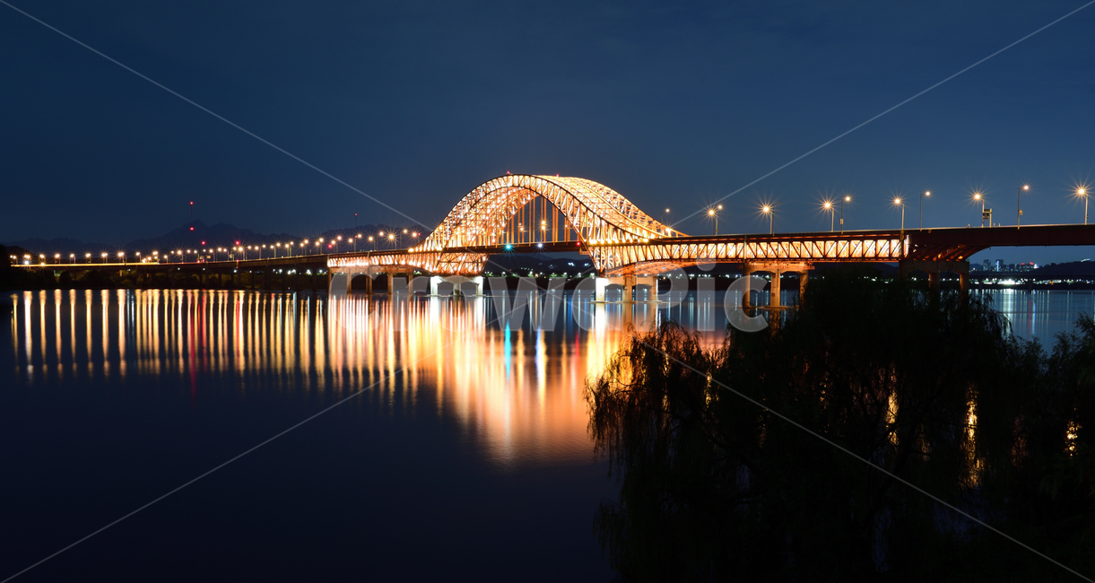 night view,ecological park,archbridge,road lights,light split,Gangseo Hangang Park,bridge night view,arched,Banghwa Ecological Park,Han River,Seoul city,Han River Park,arch bridge,street lamp lights,wetland park,Gangseo Wetland Ecological Park,Han River B