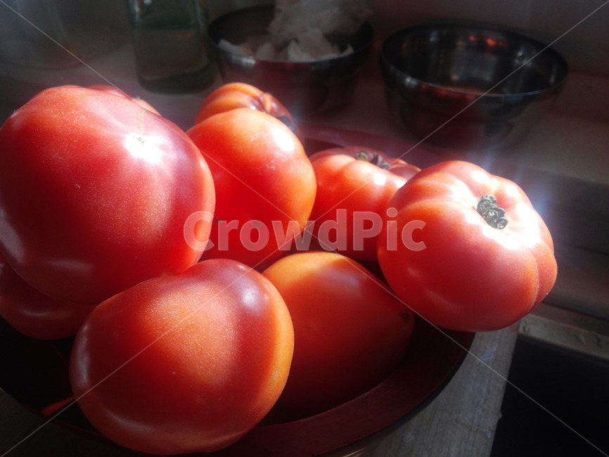 토마토,햇살,채소,tomato,sunshine