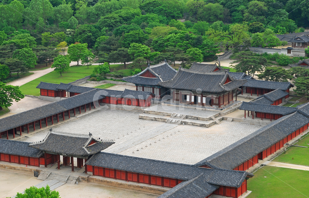 창경궁,궁,궁궐,고궁,명소,건축,건축물,고건축,고건축물,조선시대,서울,한국,풍경,하이앵글,탑앵글,명정문,명정전,나무,숲,자연,기와,회랑,역사,전통,한국전통,한국문화,korean traditional,korean culture,랜드마크,landmark,tourist attraction,한국랜드마크,한국관광지,한국명소,korea landmark,korea tourist attraction,건축물,건물외관,exterior,building,structure,architecture,construction