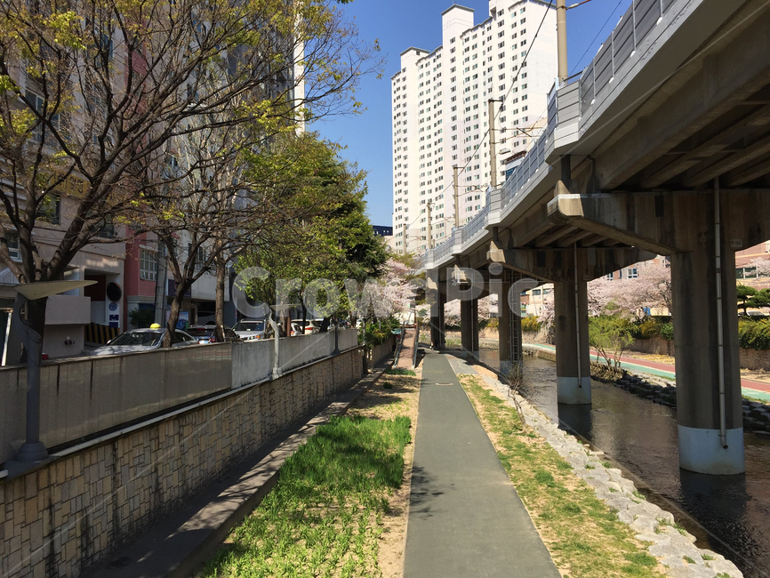 온천천,산책길,다리,초록색,나무,거리,green,streets,walks,봄,계절,spring,season,도시,풍경,city,landscape,road,도로,path,통로
