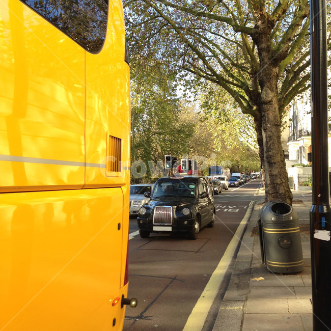 버스,도로,영국,길가,유럽,자동차,나무,노란버스,bus,road,roadside,wayside,unitedkingdom,uk,yellowbus,tree,country,car,europe,westeurope,교통,교통수단,traffic,transportation