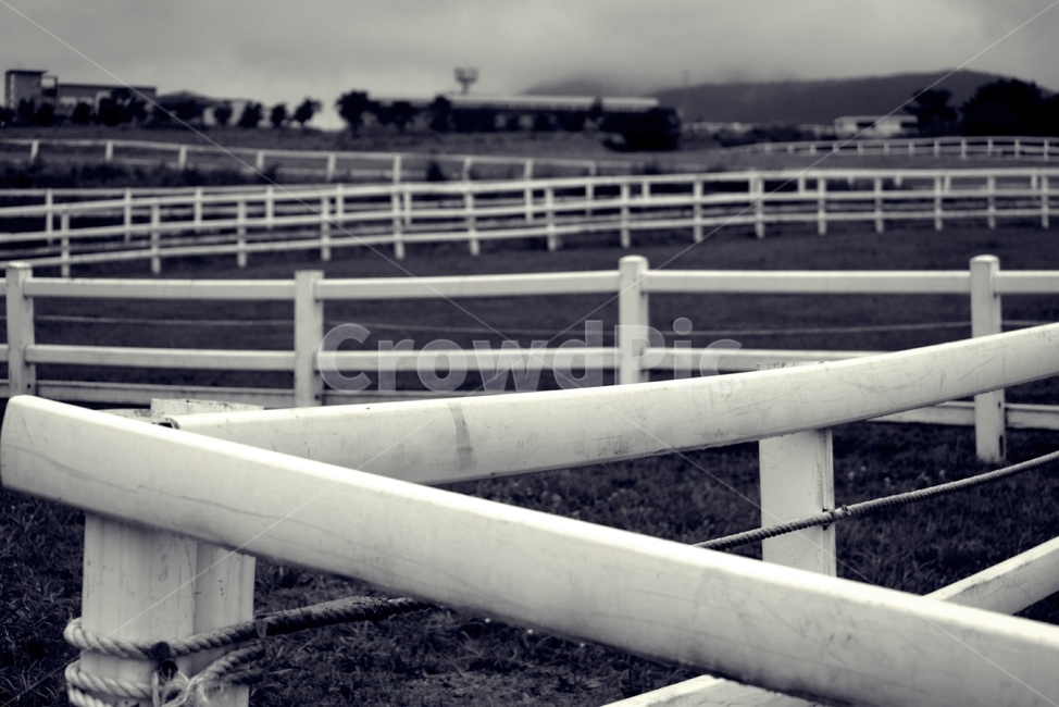 handrail,banister,railing,목장,난간
