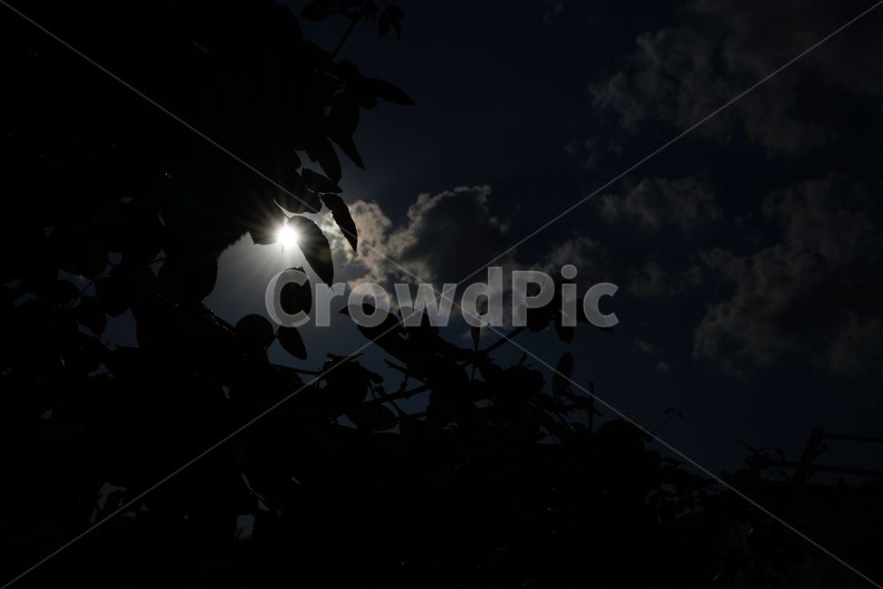 하늘,구름,풍경,실루엣,잎,나무,감성,sky,cloud,느낌,자연,풍경,nature,landscape,light,빛,flare,플레어