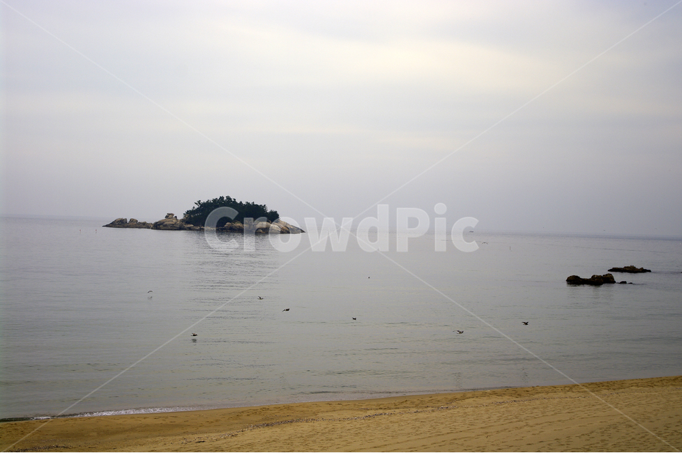 하늘,바다,구름,섬,수평선,동해,sea,자연,풍경,nature,landscape,해변,바다,beach,sea,land,땅,outdoors,옥외,shoreline,해안선,water,물,ocean,대양,coast,연안