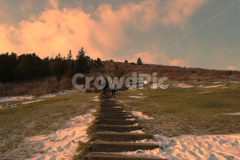 하늘,나무길,계단,여행,일몰,자연,풍경,nature,landscape,path,통로