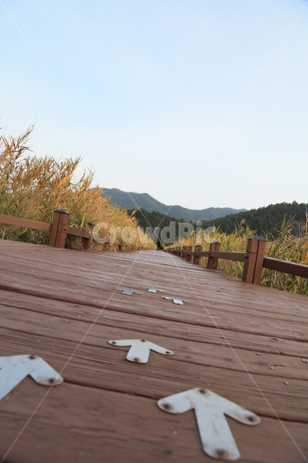 방향,화살표,선택,이정표,길