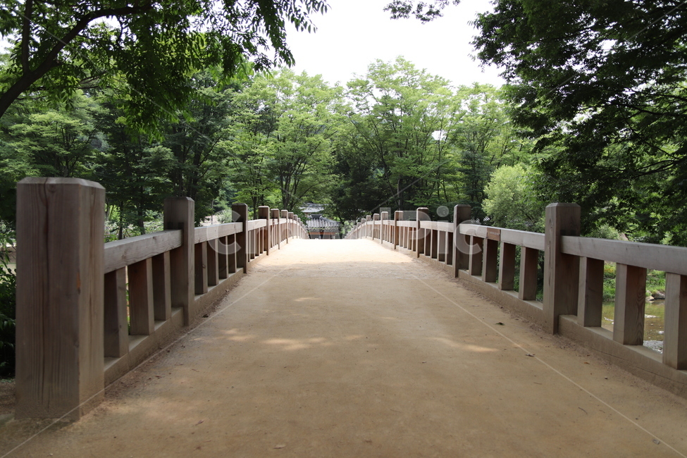 교량,다리,자연,한국,시골,난간