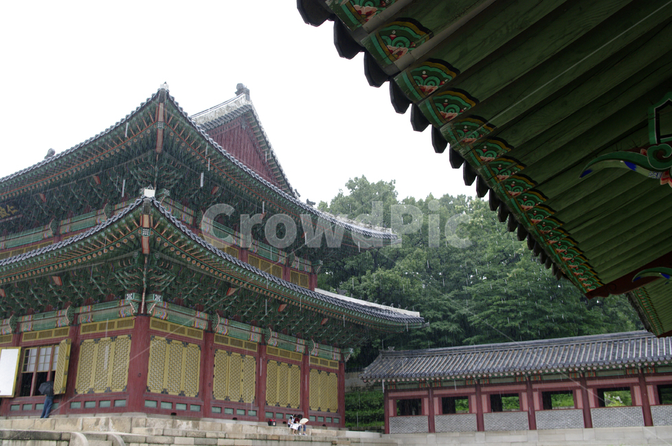 인정전,창덕궁,고궁,한옥,전통가옥,기와지붕,건축,traditional,비,한국전통,한국문화,korean traditional,korean culture,비,비오는날,rain,rainy,건축물,건물외관,exterior,building,structure,architecture,construction