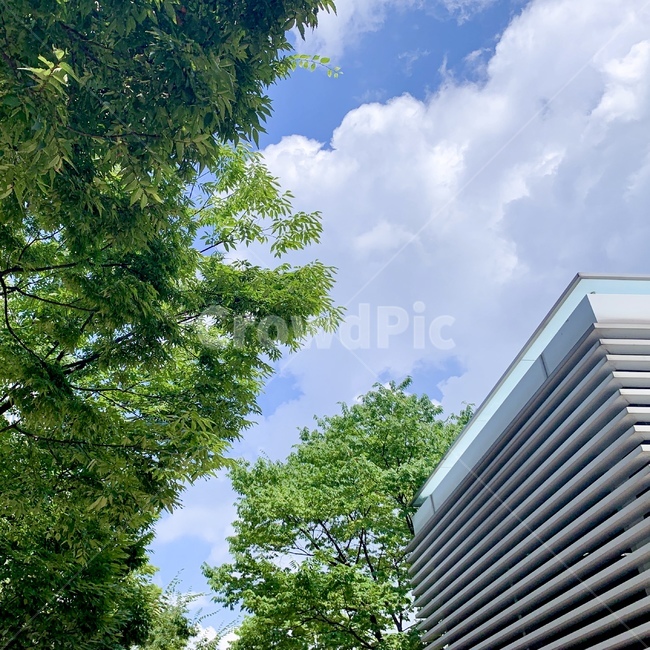building,건물,officebuilding,하늘풍경,cloud,하늘,구름,청량