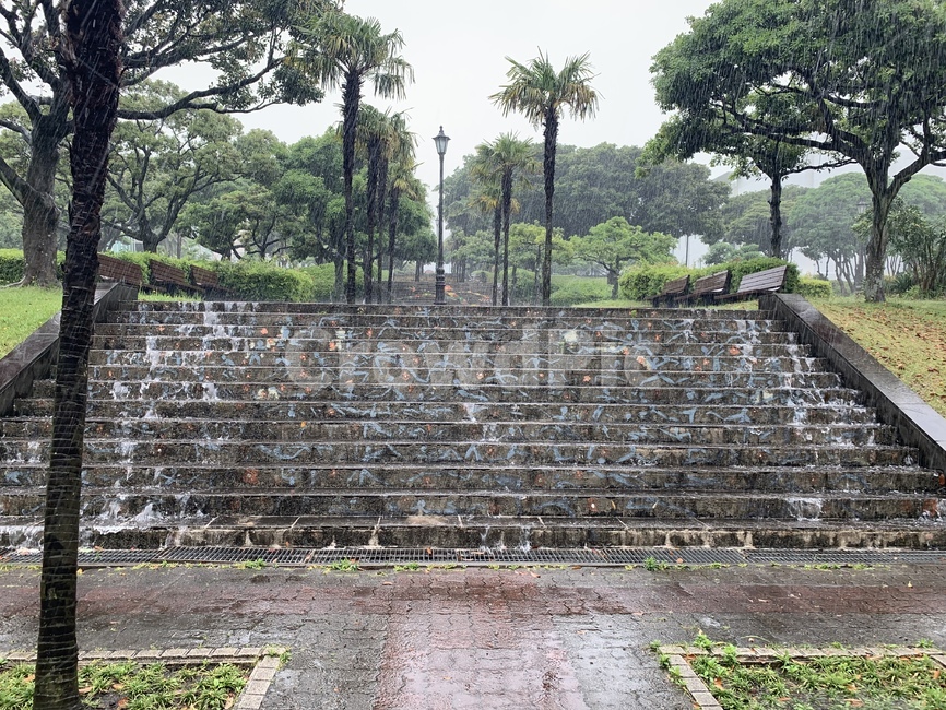 제주,제주도,공원,비,풍경,비,비오는날,rain,rainy