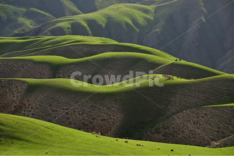 중국,신장,천산산맥,카라준초원,grassland,nature,자연,meadow,목초지,field,들,outdoors,옥외,말,질주,사람,인간,초록색,들판,자연,풍경,nature,landscape,해외,외국,세계,foreign,oversea,world,세계자연풍경,해외자연풍경,외국자연풍경,world nature landscape
