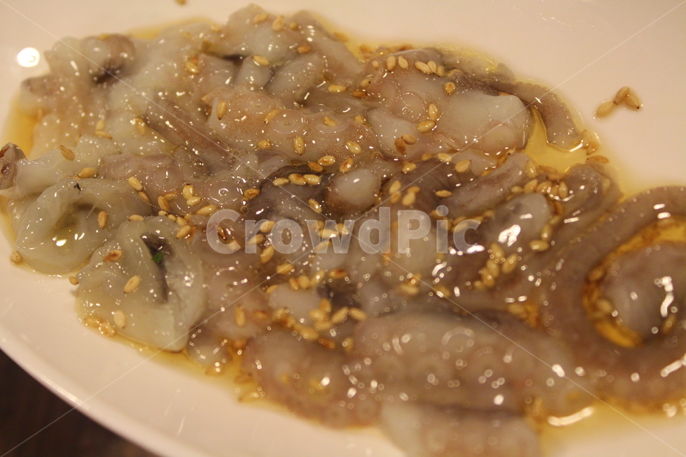 산낙지,참기름,깨소금,해산물,먹거리