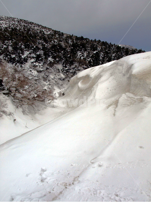 어리목,한라산,제주도,겨울,겨울산,설화,설목,설경,눈,등산,겨울,계절,winter,season,자연,풍경,nature,landscape,outdoors,옥외,snow