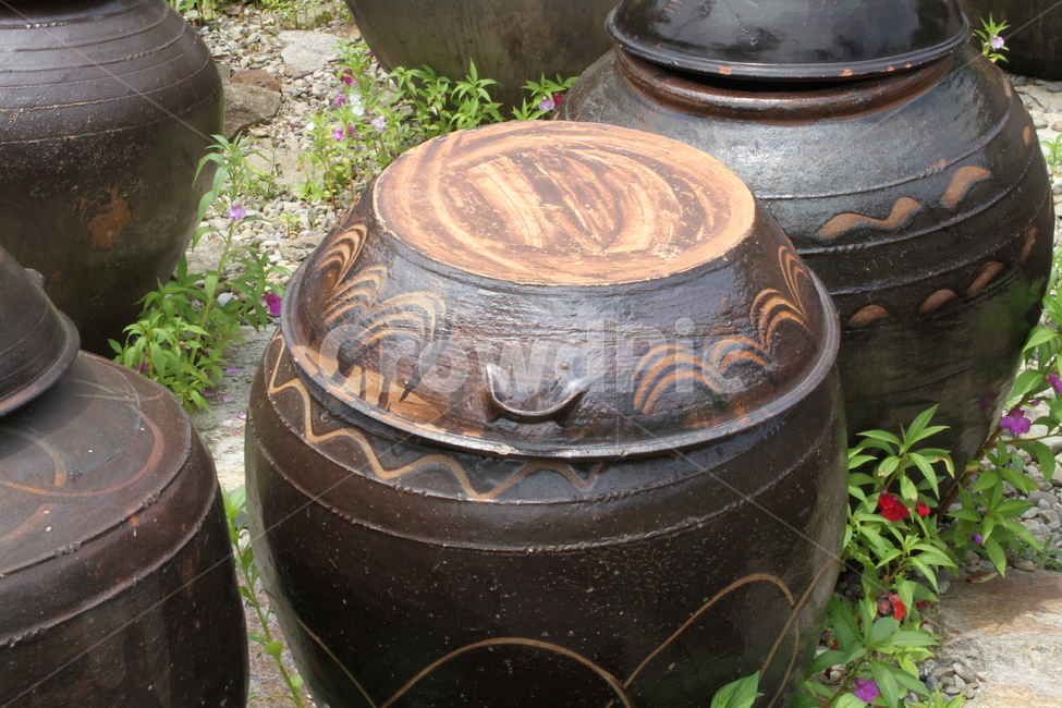 장독,된장,장독대,옹기,항아리,crock,한국전통,한국문화,korean traditional,korean culture,사물,물건,오브젝트,thing,object,matter
