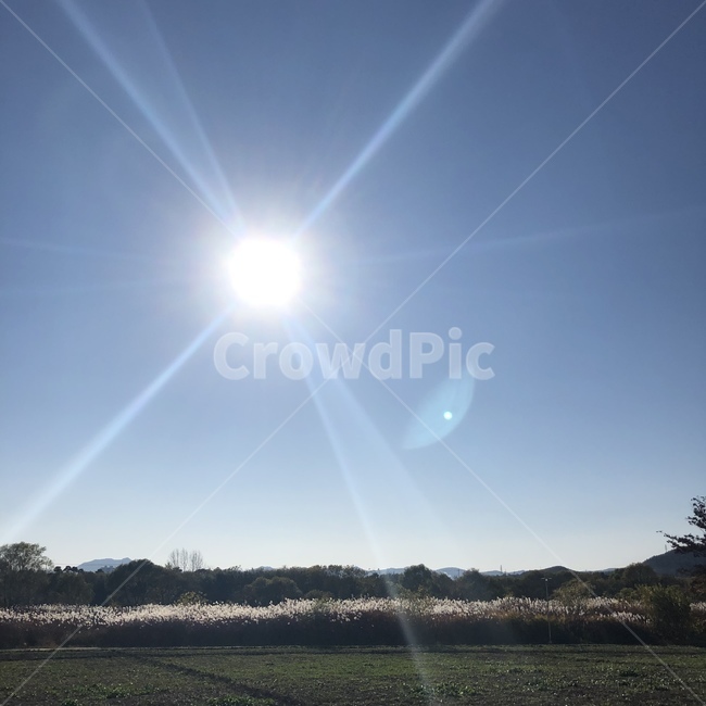 해,햇빛,배경,풍경,파란하늘,자연,풍경,nature,landscape,sunlight,flare,플레어,light,빛,outdoors,옥외,sun,태양,sky,하늘