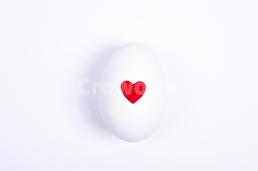 달걀,계란,음식,실내,정물,흰색,egg,음식,식재료,요리,food,cook,meal,dishes,food reserves,연출,컨셉,콘셉,direction,concept,누끼,remove background