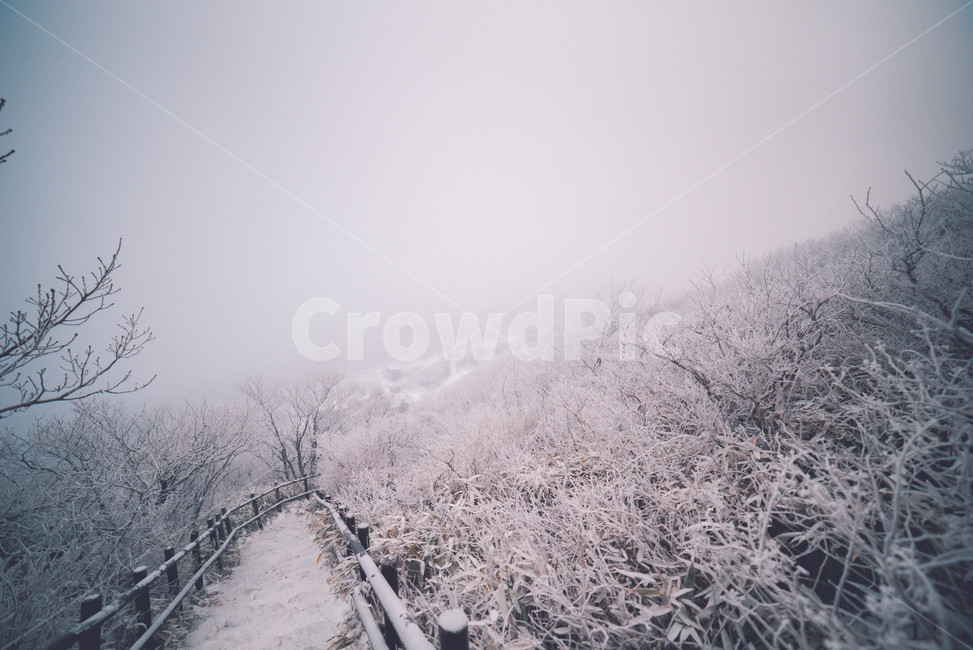 눈,snow,겨울,자연,winter,겨울,계절,winter,season