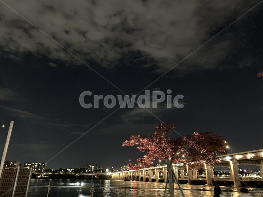 한강,야경,저녁,nature,outdoors,여유로움,야경,밤,풍경,nightscape,night,landscape,water,물,자연,옥외