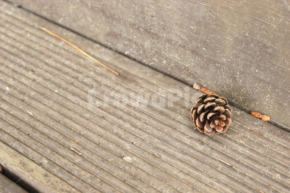 솔방울,데크,pinecone,공원,마른