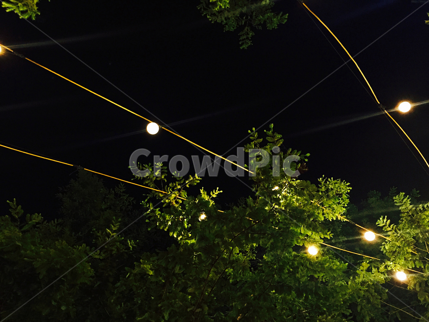 밤,불빛,조명,light,빛,조경,tree,저녁,night,lamp,landscape,architecture,gardening