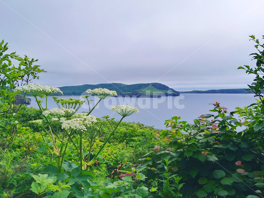자연,outdoors,sea,바다,물,ocean,대양,nature,섬,루스키섬,블라디보스톡,블라디보스토크,러시아풍경,러시아섬