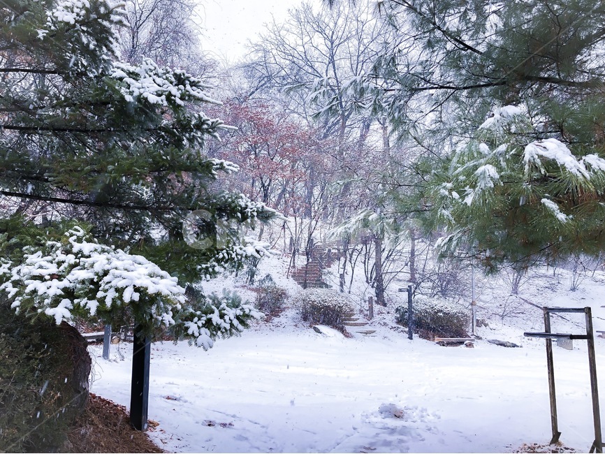 눈,겨울,1월,2월,폭설,겨울,계절,winter,season
