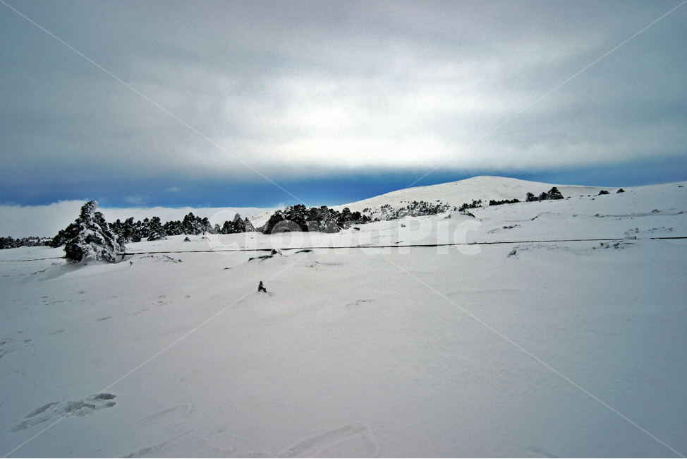 겨울산,한라산,제주도,설경,어리목코스,설산,한라산설경,겨울,눈,겨울,계절,winter,season,자연,풍경,nature,landscape,한국자연풍경,한국자연경관,korea nature landscape