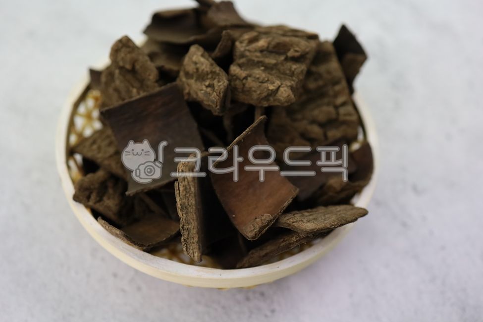 Euchung,cephalic shell,tree bark,tree,Roasted Tofu Chung,dried head worm